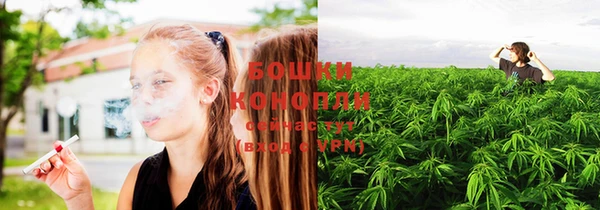 амф Козельск