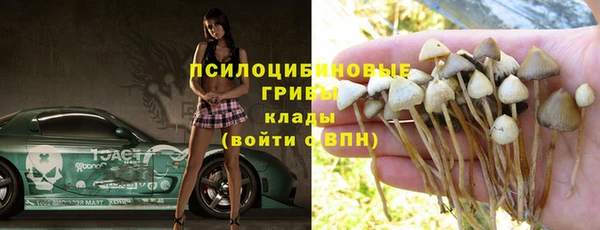 трава Киренск