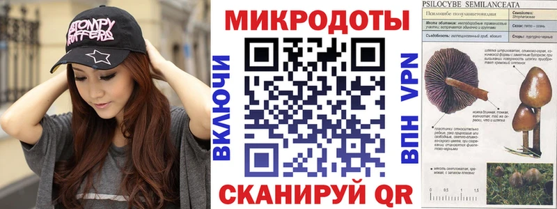 купить   Новоалександровск  Галлюциногенные грибы GOLDEN TEACHER 