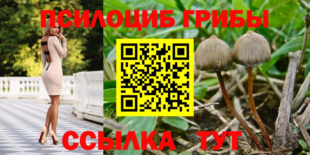 Новоалександровск  Псилоцибиновые грибы мицелий  Вход с VPN 