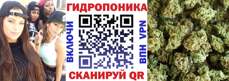 omg   Новоалександровск  Марихуана Amnesia 